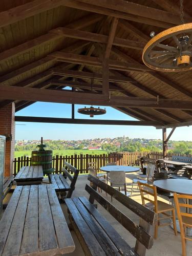 Naturlandskabet i nærheden af feriehuset