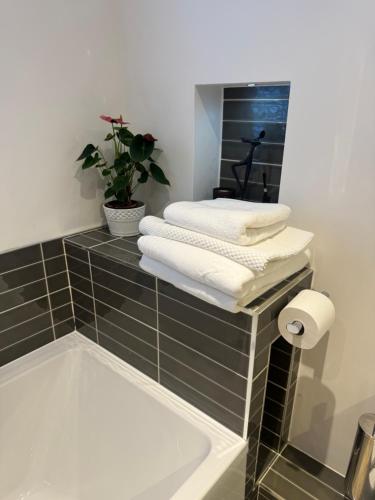 a bathroom with a bath tub with towels and a plant at Pine Ridge 1 in Bristol