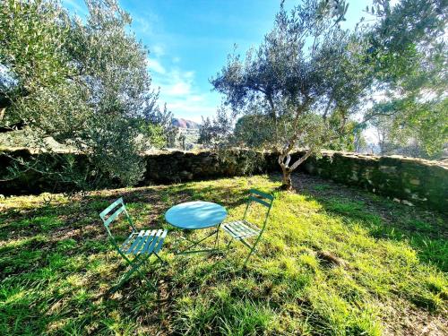 two chairs sitting in the grass next to a tree at Torre del Tempo in Torgiano