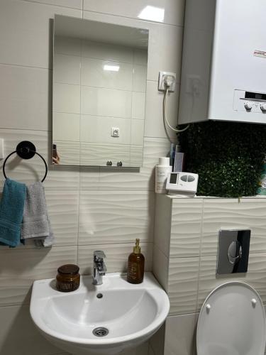 a bathroom with a sink and a mirror and a toilet at Cetral032 in Čačak