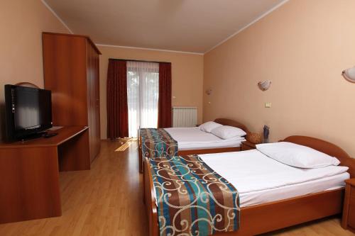 a hotel room with two beds and a television at Bed and Breakfast Malovec in Divača