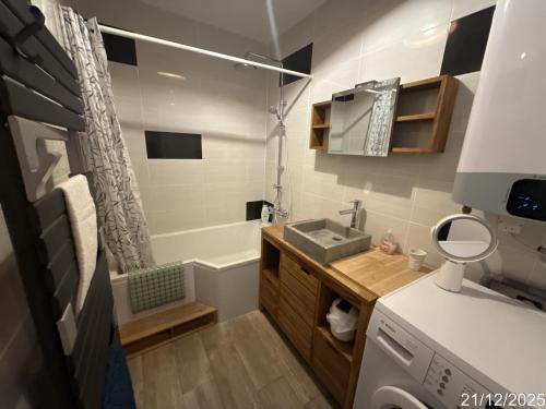 ein kleines Bad mit einem Waschbecken und einer Waschmaschine in der Unterkunft Le Turgot, proche thermes in Thonon-les-Bains