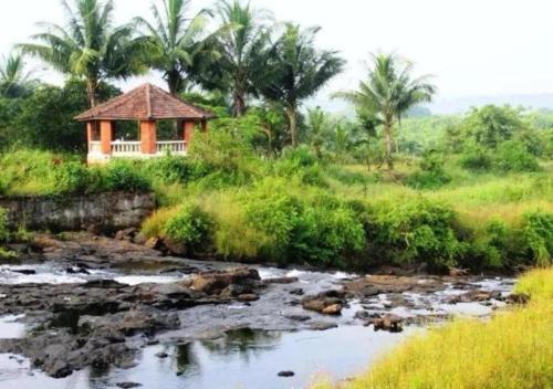 Příroda nedaleko kempu