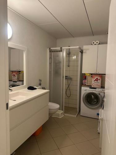 ein Badezimmer mit Waschbecken und Waschmaschine in der Unterkunft Apartment near Utzon in Aalborg