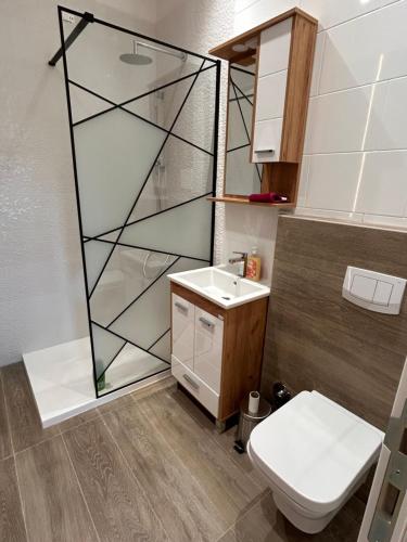 a bathroom with a toilet and a sink and a mirror at Bjelašnica by Samke in Bjelašnica