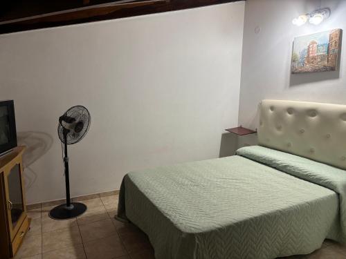 een slaapkamer met een bed en een ventilator bij Complejo El Guri in Colón