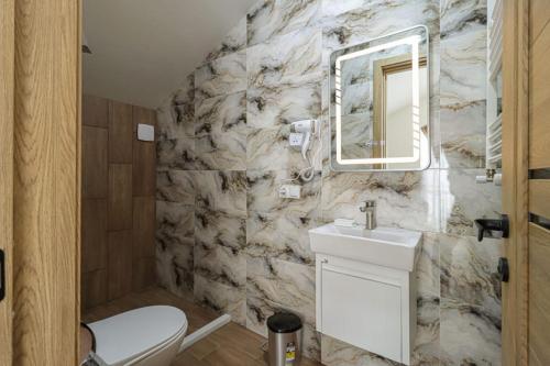 Un baño con inodoro, lavabo y espejo. en Gudauri Star, en Gudauri