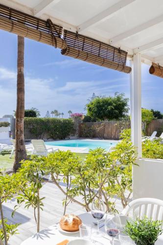 Nectarinas C1 by VillaGranCanaria