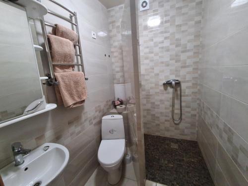 een badkamer met een toilet, een wastafel en een douche bij Галичанка Еліт SPA 