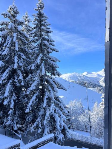 een met sneeuw bedekte kerstboom op een skipiste bij Cosy Mountain Ski Escape Newly Renovated in Prato Nevoso