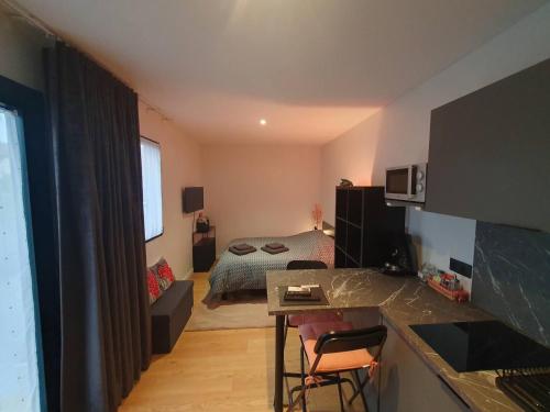 ein kleines Apartment mit einem Schlafzimmer und einem Bett in der Unterkunft Studio Les Deux Grenouilles 5mn de Colmar in Herrlisheim-près-Colmar