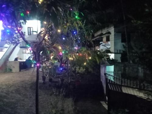 Vườn quanh Ashabhavan