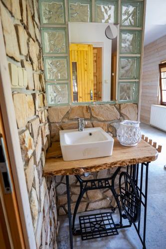 a bathroom with a sink and a mirror at Jizerská roubenka in Bohdalovice