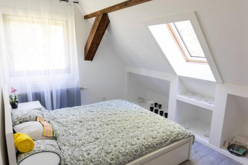 een slaapkamer met een bed en een raam bij Dailes in Dzelmes
