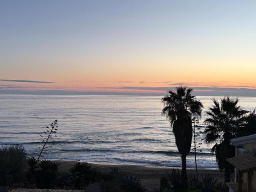 Naturlandskabet i nærheden af lejligheden