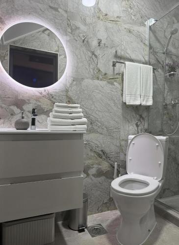 a bathroom with a toilet and a sink and a mirror at ELLA LUX APARTMAN Čačak in Čačak