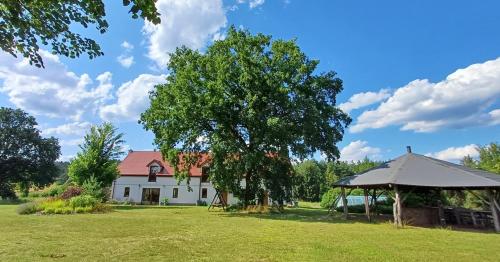 En have udenfor Gwiezdny Rezerwat, Siedlisko 320m2, Sauna i Natura na Wyłączność