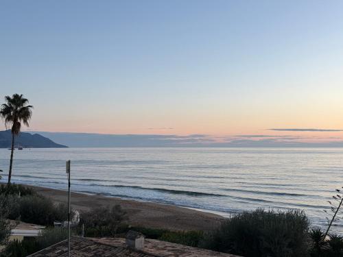 Naturlandskabet i nærheden af lejligheden