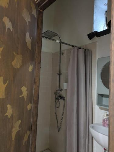 a bathroom with a shower with a shower curtain at La Cigarra in Ronda
