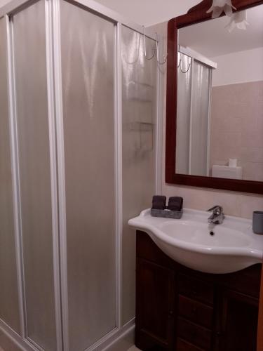 a bathroom with a shower and a sink at Bernina House in Chiesa in Valmalenco