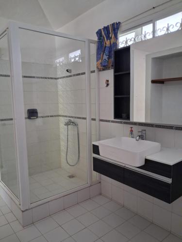 a bathroom with a shower and a sink at A few steps from the beach in Pereybere
