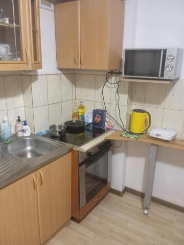 Kuhinja ili čajna kuhinja u objektu Aleks