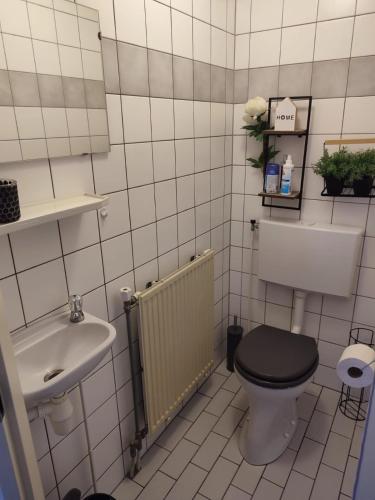 un bagno con un water e un lavandino di Gemütliches, komfortables Ferienhaus a Schoorl
