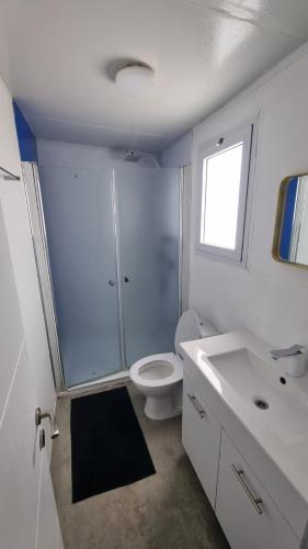 a bathroom with a shower and a toilet and a sink at בית אירוח מרום במדבר in Dimona