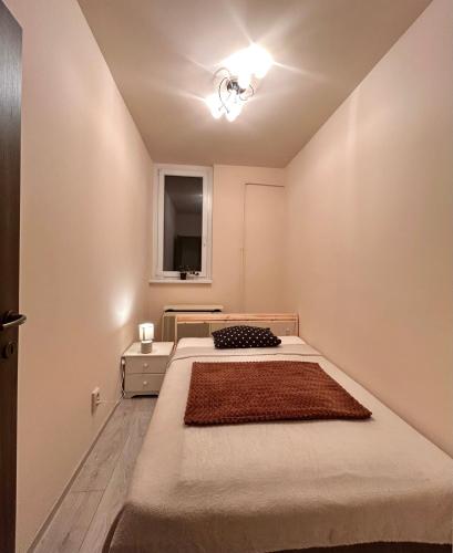 a bedroom with two beds and a window at Szántó Prime Residence in Szolnok