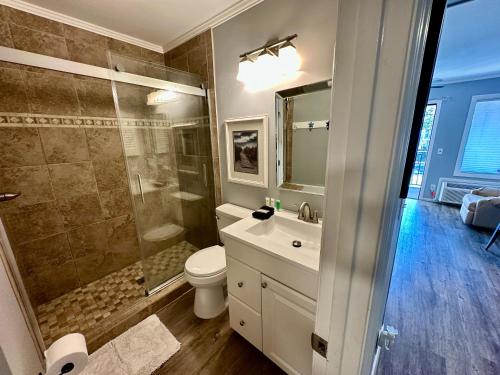 une salle de bains avec toilettes, douche et lavabo dans l'établissement Seaside 155, à Île de Hilton-Head