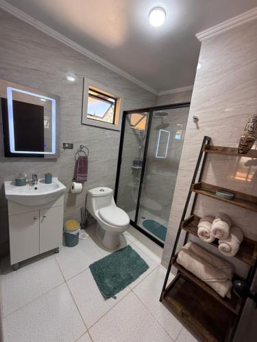 a bathroom with a shower and a toilet and a sink at Cabañas Bello Atardecer in Constitución