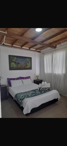 a bedroom with a large bed in a room at Hostal Salento Sunset in Salento
