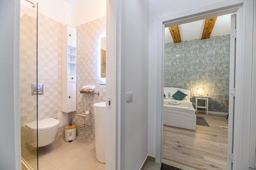 a bathroom with a shower and a toilet in a room at Republicii Residence in Braşov