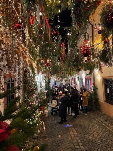 a group of people walking down a street with christmas lights at Maison Český Krumlov in Český Krumlov