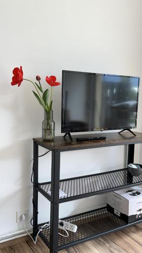 une télévision sur un stand avec un vase de fleurs dans l'établissement Le Nid des Pistes, à Métabief
