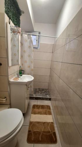 a bathroom with a toilet and a sink at VITAN Central Apartament in Tîrnăveni