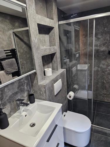 een badkamer met een wastafel, een toilet en een douche bij Ubytování Městská hora Beroun in Beroun