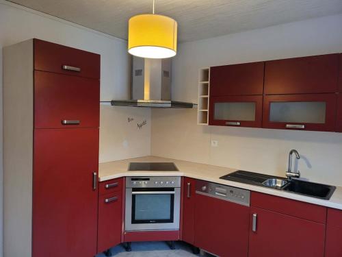 Kuchyň nebo kuchyňský kout v ubytování Gîte Les 5 Pommiers 6 pers gitesdes2vallees