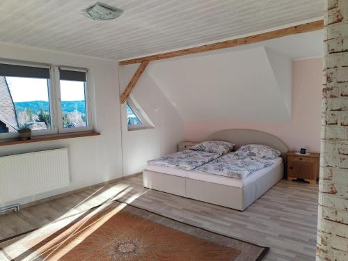 een slaapkamer met een bed en twee ramen bij Chaloupka u Rity in Bublava