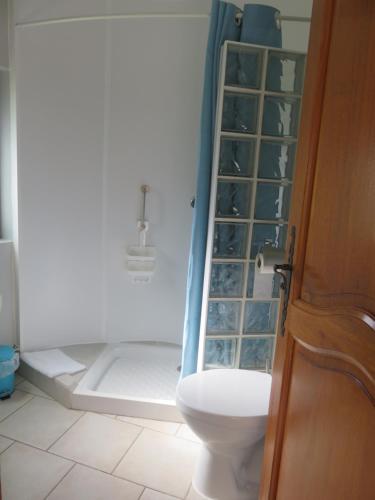 a bathroom with a shower with a toilet in it at Auberge a la Ferme in Surques