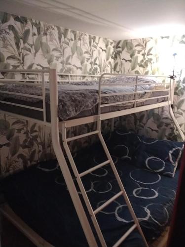 ein Etagenbett mit zwei Addons darauf in der Unterkunft Le repos beaurepairien in Beaurepaire