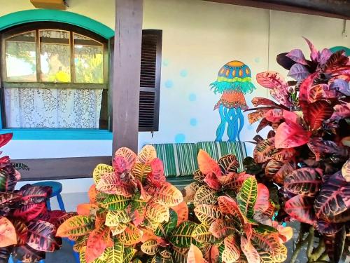 een bank met kleurrijke planten voor een muur bij De Boa na Lagoa Cabo Frio in Cabo Frio