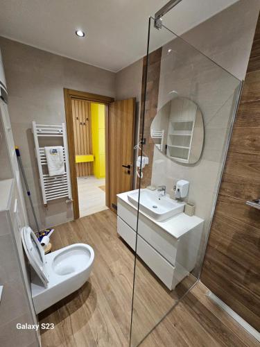 a bathroom with a toilet and a sink and a mirror at Apartman Blue Sky in Jahorina