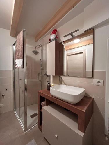 a bathroom with a sink and a shower at Alpen Lodge Predazzo in Predazzo