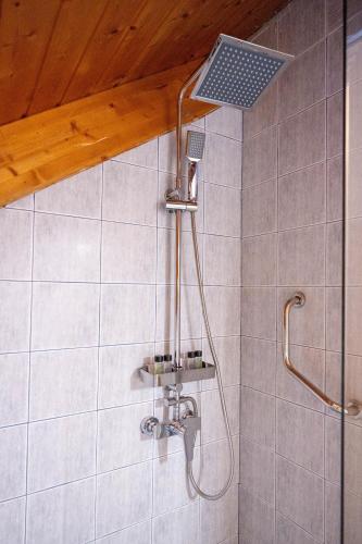 a shower with a shower head in a bathroom at Rokani Sofita II in Kalavrita