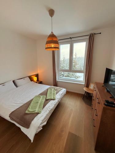 una camera da letto con un letto e una grande finestra di Apartmani Snowflake a Jahorina