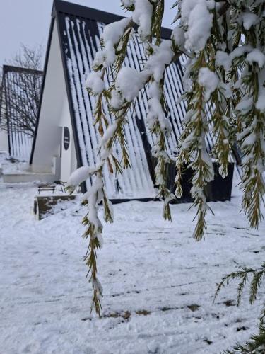 a snow covered tree in front of a house at Chalé Acolhedor - Penhas da Saúde - Serra da Estrela in Covilhã