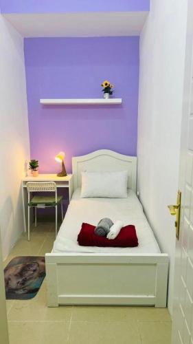 City Stay Partition Room in Barsha Heights tecom