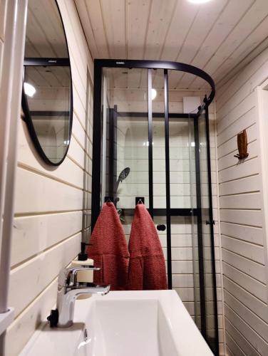 a bathroom with a sink and a mirror at The Little Owls Nest in Rovaniemi