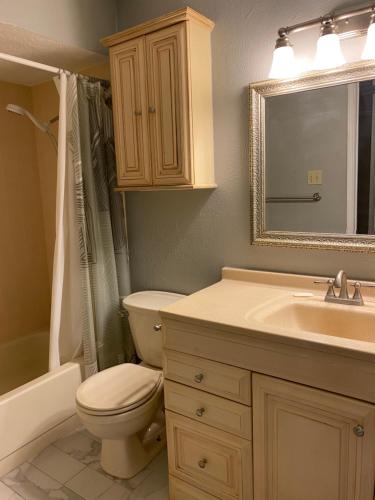 a bathroom with a toilet and a sink and a mirror at Home Away in Grand Prairie